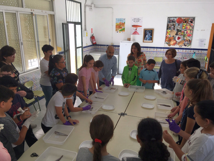La iniciativa 'Pescaíto' enseña a los escolares a limpiar y cocinar pescado